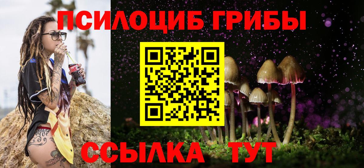 Чехов  Галлюциногенные грибы Psilocybine cubensis  Галлюциногенные грибы ЛСД  Вход с VPN 